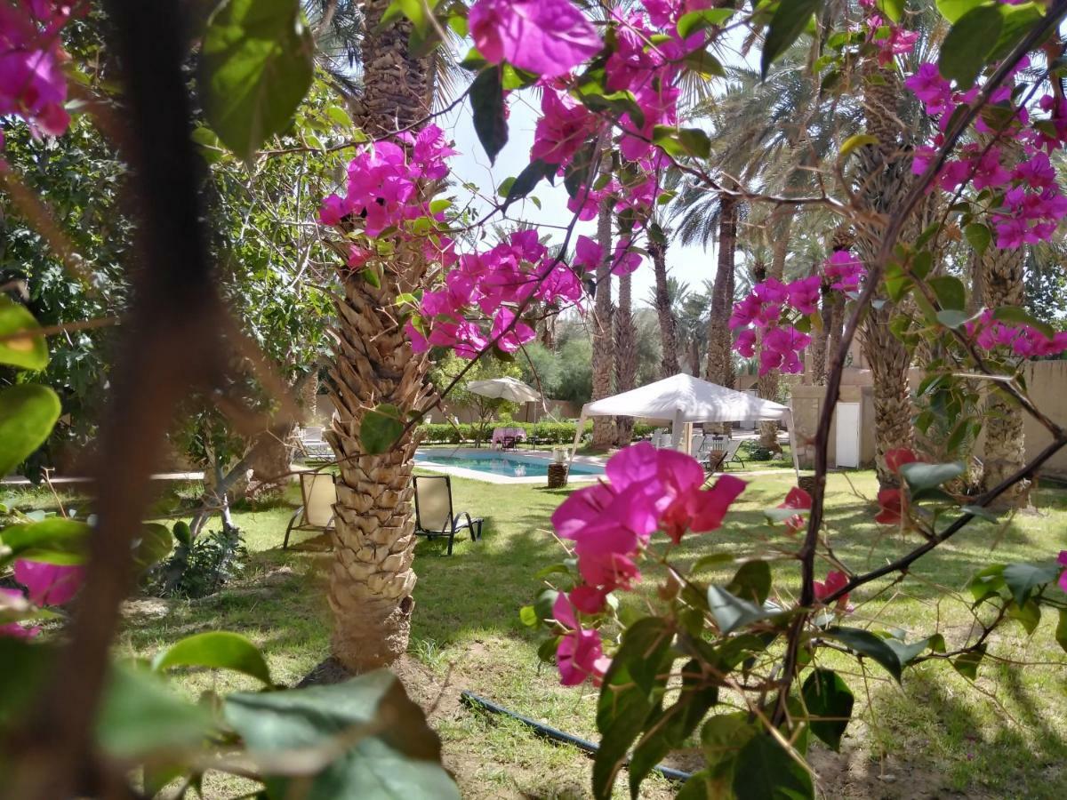Maison D Hote Ighrem Goulmima エクステリア 写真